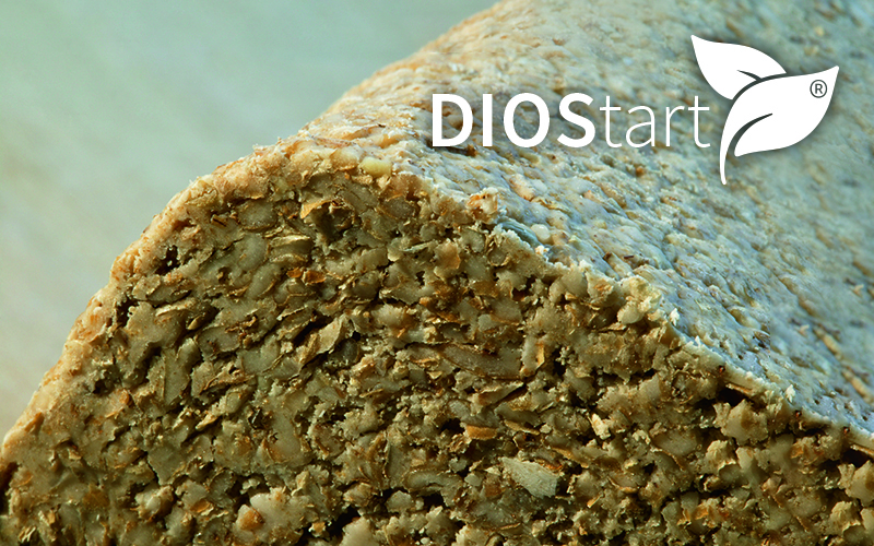 Start in advance and highly focused. <b>With DIOStart.</b>