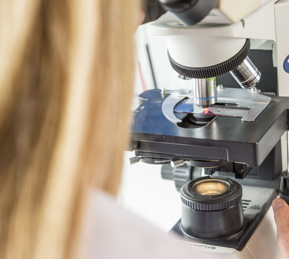 [Translate to English:] 