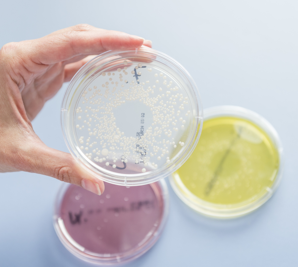 [Translate to English:] 